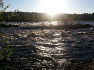 Vindelälven 21 maj 2013