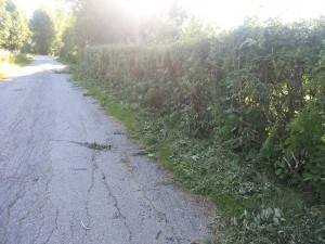 2013-07-16 19.54.28