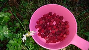 photo_1470682820625